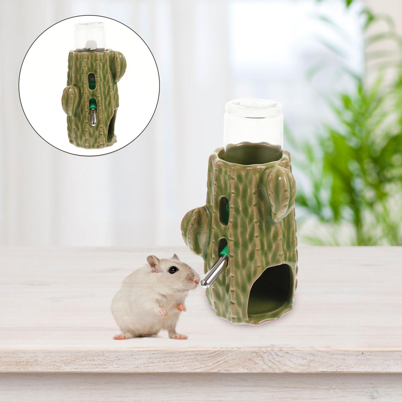 Dispenser d Acqua per Criceti e Chinchilla in Ceramica Verde da 80 Ml, Set Supporto Regolabile, Antigoccia e Facile da Usare