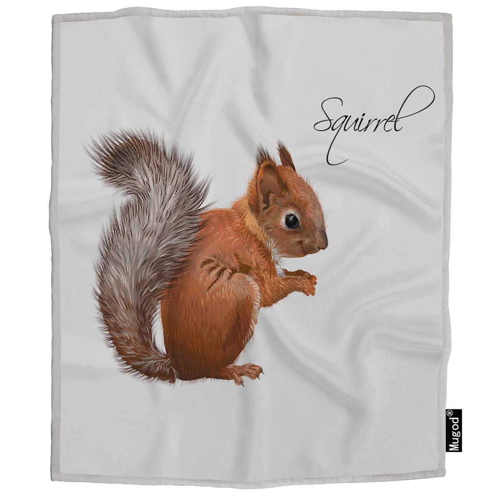 Mugod Squirrel Blanket Little Cute Lovely Animal Furry Tail Nature Wildlife Fuzzy Soft Cozy Warm Flannel Throw Blankets Decorative for Boys Girls Toddler Baby Dog Cat 40X50 Inch