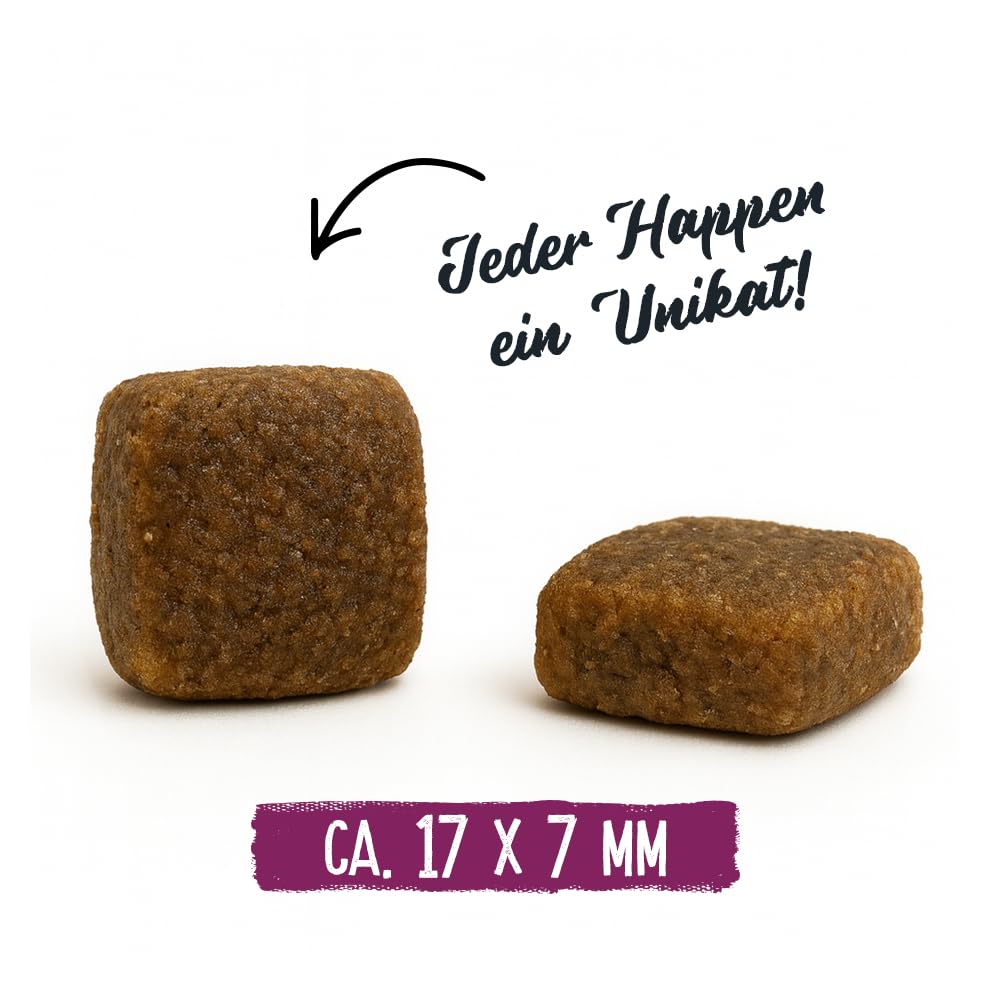 Chicopee HNL Soft Senior Goat & Potato sucha karma dla psów, 12 kg, od Bosch | karma dla psów | kanadyjska receptura | Made in Germany | marka Bosch karma dla zwierząt