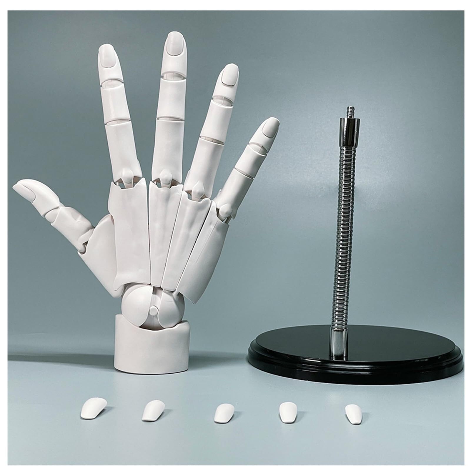 Mano de maniquí de artistas, modelo de mano derecha ajustable flexible con articulaciones móviles para mostrar, dibujar y pintar