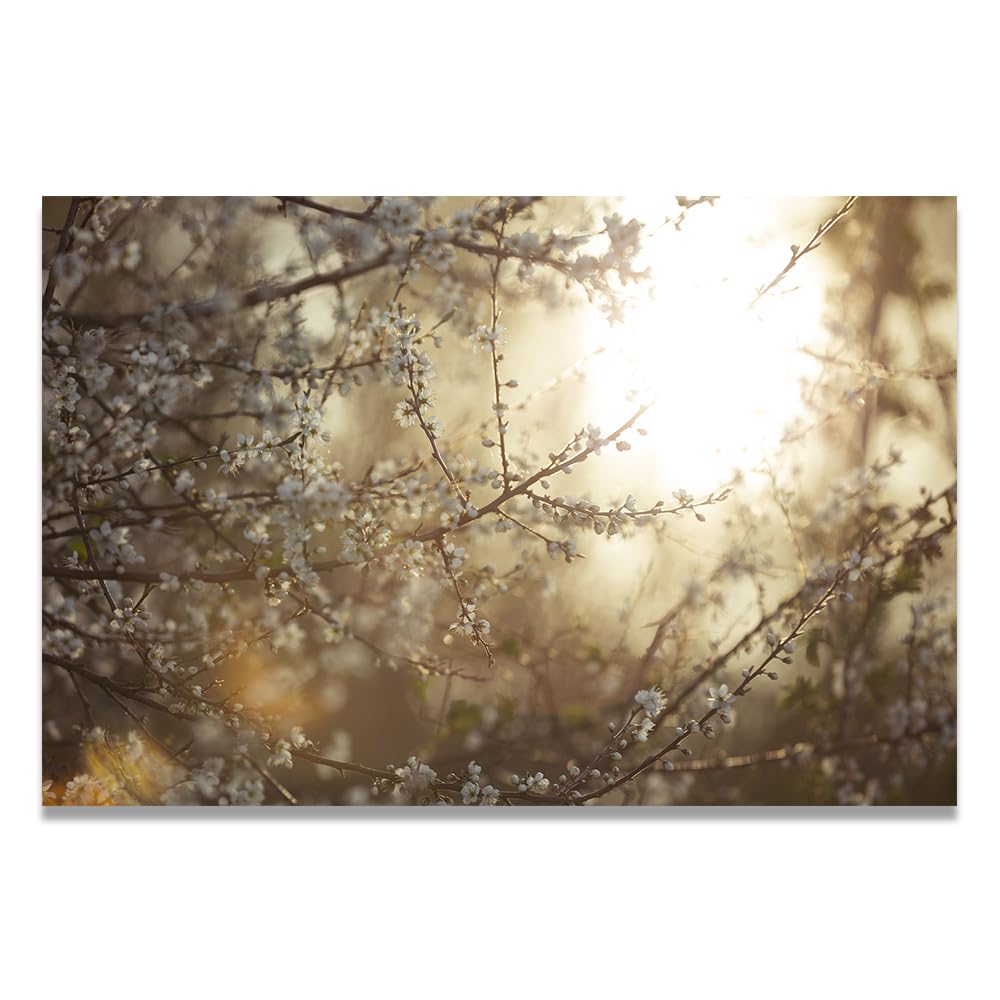 VHdfgTY BrightLarge Mountain Landscape Canvas Wall Art Nature Scenery for Home Decor 60x90cm Unframed