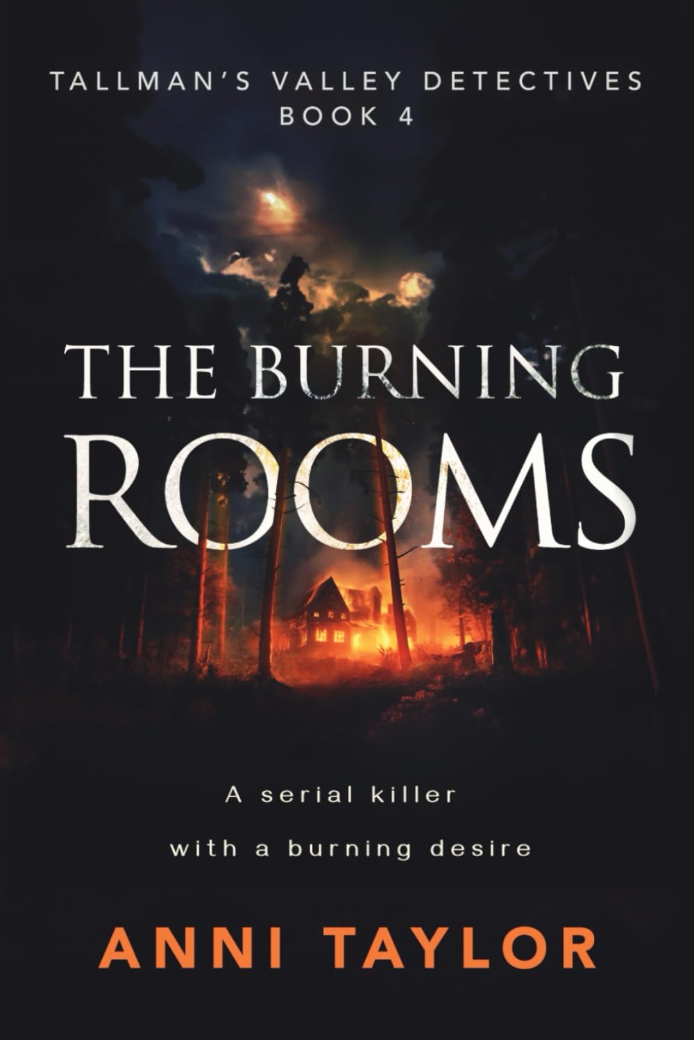 The Burning Rooms: Tallman's Valley Detectives