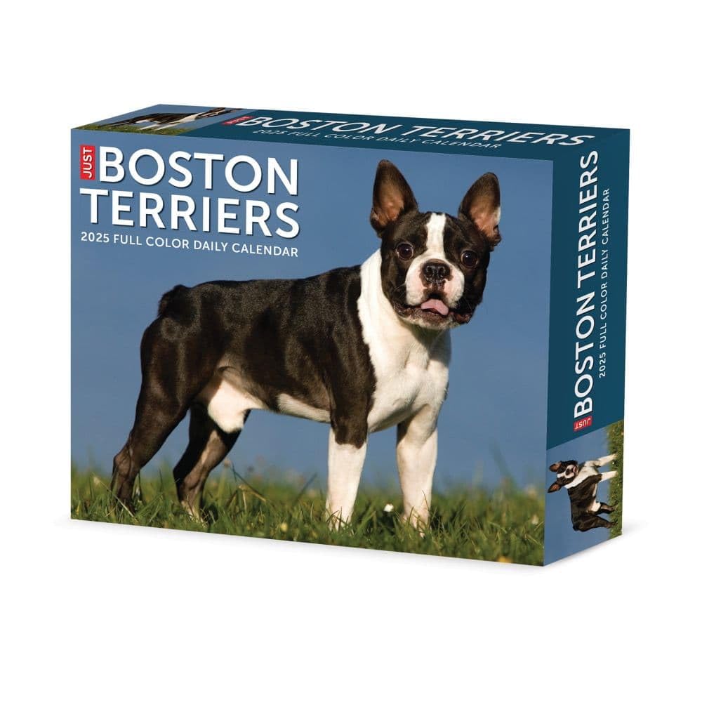Boston Terriers 2025 Box