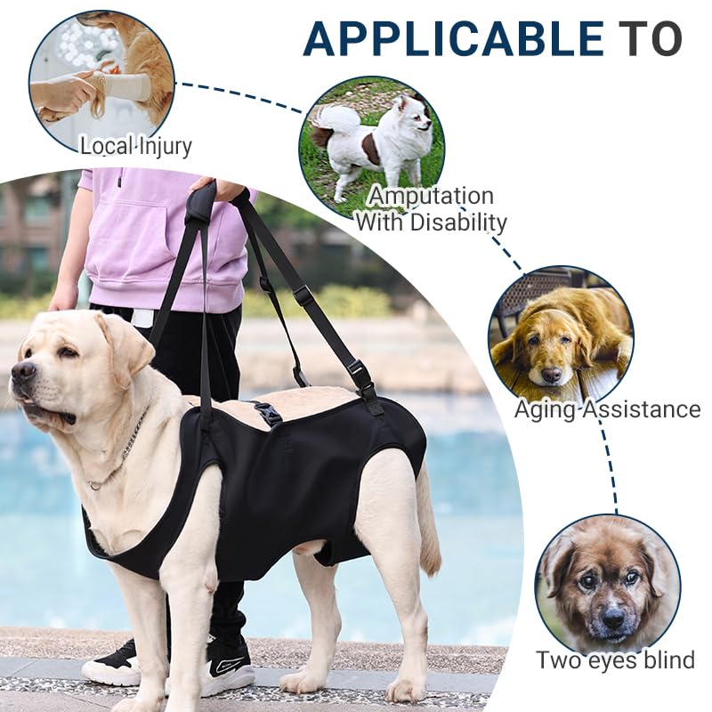 Dog Lift Harness for Dogs, Dog Sling Carrier with Handle for Hind Leg Support, Arthritis, Joint Injuries, Rehabilitation, and Assistance with Stairs, Cars (Ace-doglift-L)