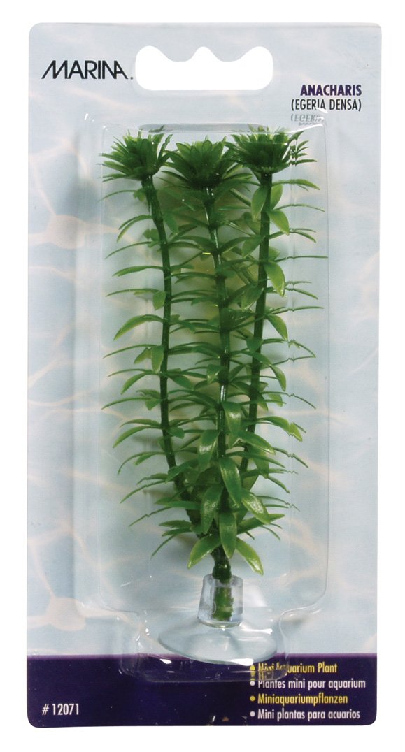 Marina Aquascaper Plastic Plant, Anacharis, 4-Inch tall