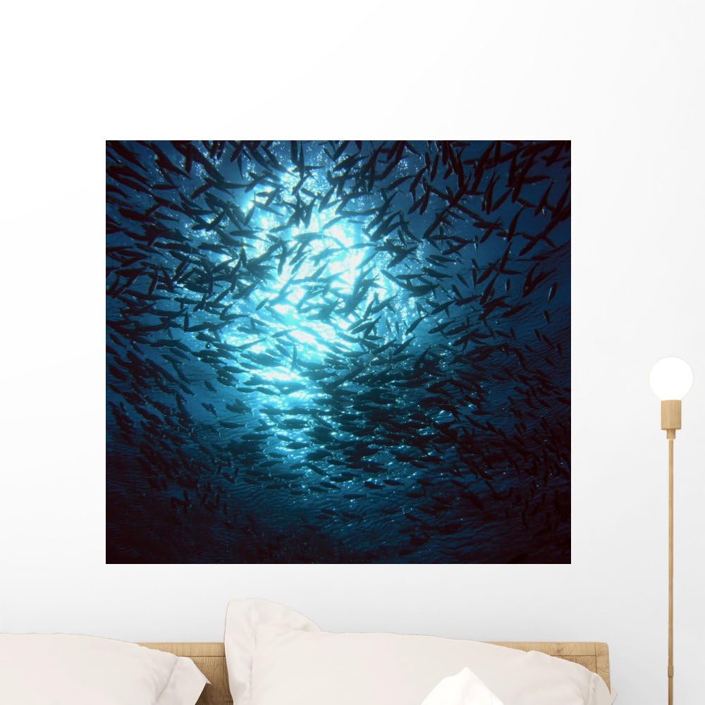 Wallmonkeys School of Fish Wall Decal Peel and Stick Graphic WM119503 (24 in W x 22 in H)