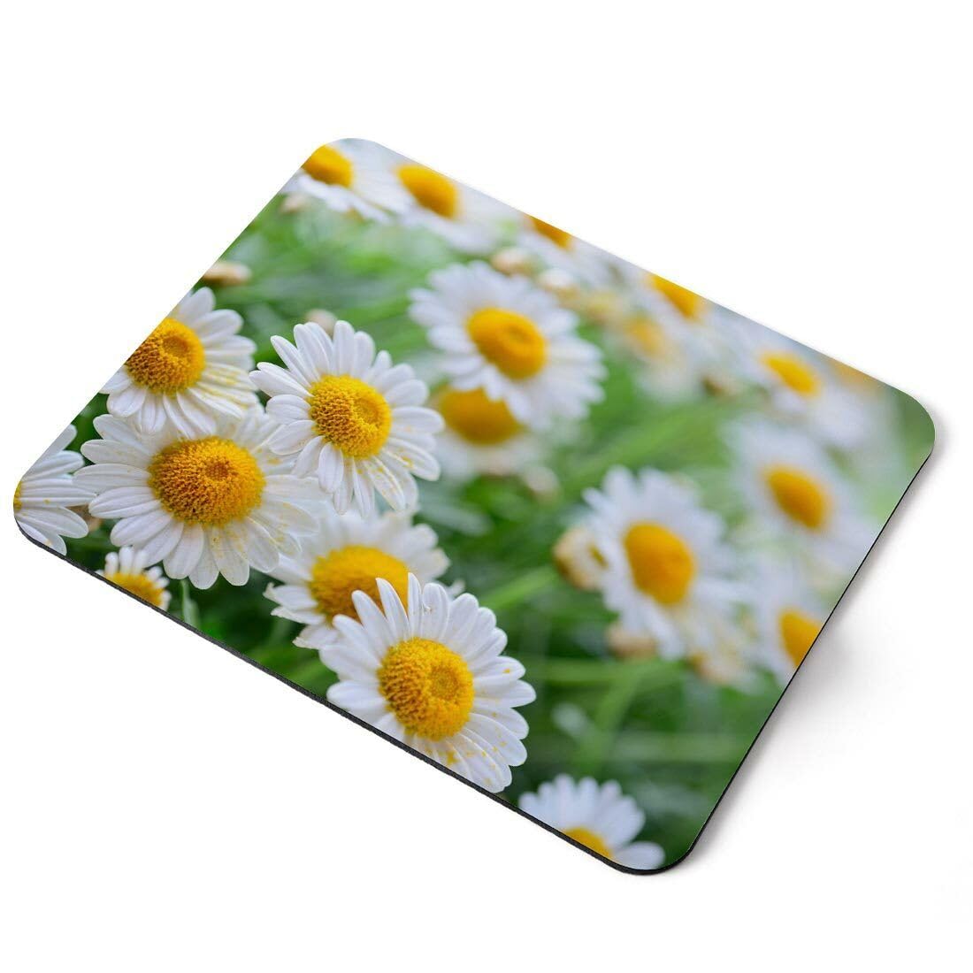 MIKKA ENTERPRISES Mouse Mat Pad - Chipmunk Cute Wild Animal Laptop PC Desk Office #16625 Printed Rubber Mouse pad, Home Office Use, Non Slip