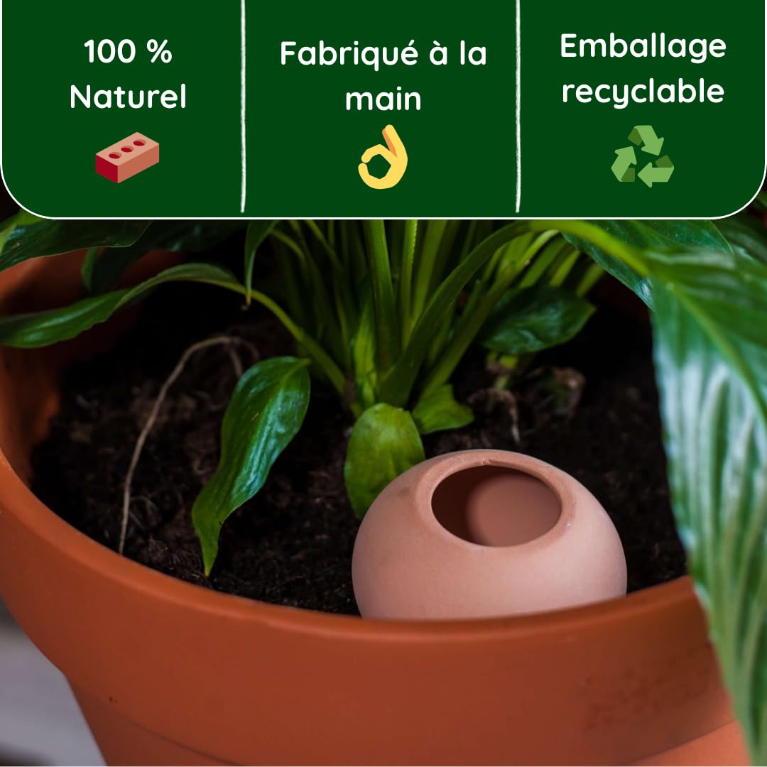 Oyas a 3 Oyas à Planter de 300 ML en Terre Cuite avec Couvercle - ollas pour Plante intérieure et extérieure - Goutte à Goutte par capilarité