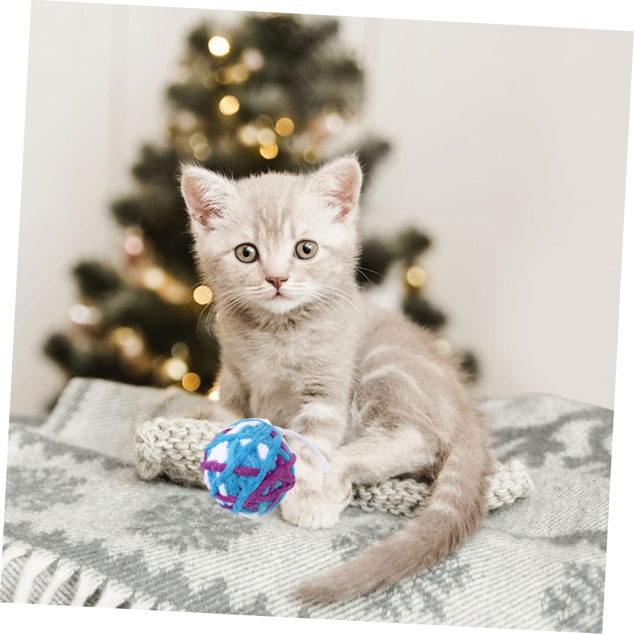 Beaupretty 10pièces Jouets Pelote pour Chats avec Cloches Jouets Interactifs De Mâcher pour Chats Et Chatons pour Éveiller Et Amuser Vos Animaux De Compagnie