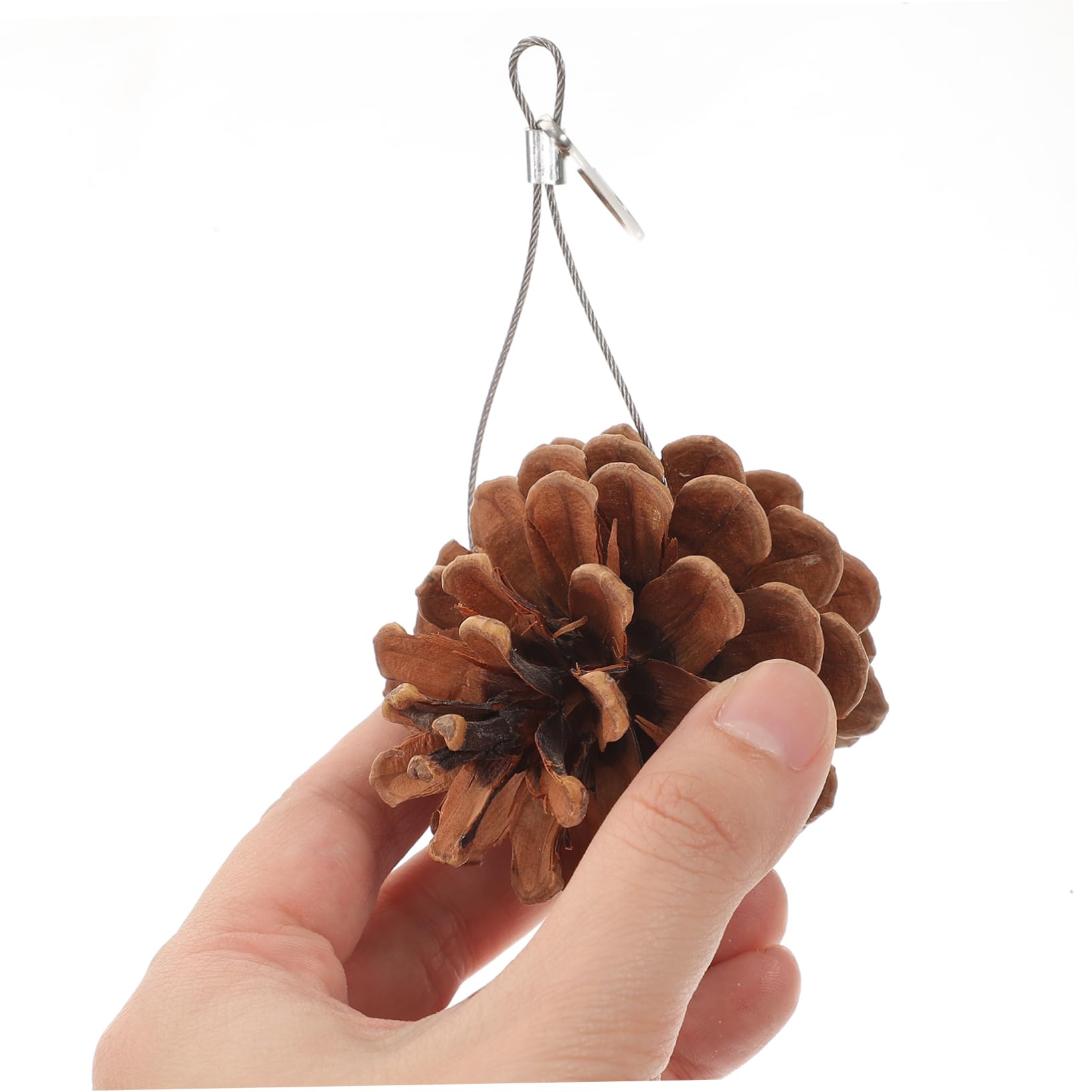 Toyvian 10pcs Bird Chew Toys for Parrots and Parakeets Natural Pine Cone Hanging Foraging Toy Shredding Cage Toy with Hook for Fun and Engaging Playtime
