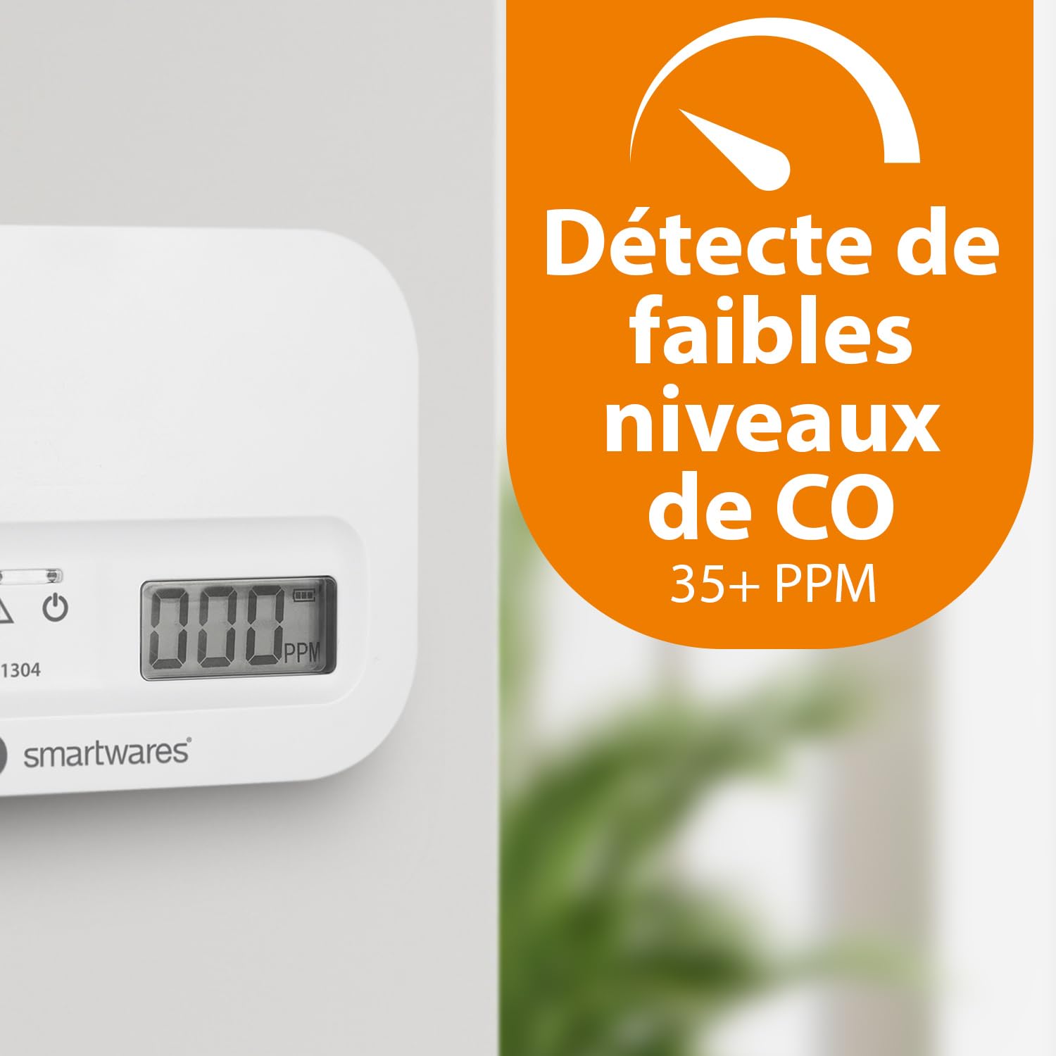 Smartwares Détecteurs de monoxyde de carbone FGA-13042 - Lot de 2 - Capteur 10 Ans - Piles 3 Ans - Avec écran et bouton de test Blanc