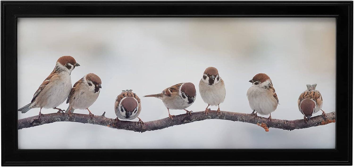 Neil Enterprises Inc. Classic Black Panoramic 24" x 10" Picture Frame - Pack of 12