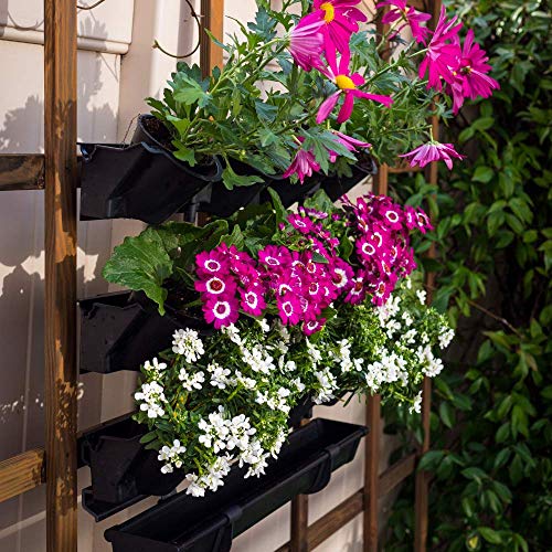 Watex Wx065 Picture Garden Starter Kit; Bpa Free Planters (Soil Included) #TOP5