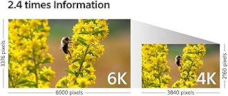 Sony α6500 Digital Cameras