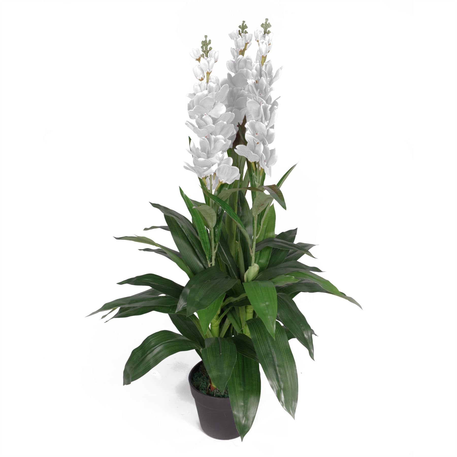 Leaf Feuille d'Orchidée Artificielle Cymbidium - Pot en Plastique Noir - Fleurs Blanches - 100 cm