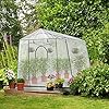 MeetLeisure Walk-in Greenhouse 8.5 Ft x 11 Ft Pop-up Outdoor Green House Plant Gardening Canopy, Roll-up Zipper Entry Doors and 2 Large Roll-Up Side Windows with Garden Hand Shovel(Large, White) MeetLeisure Walk-in Greenhouse 8.5 Ft x 11 Ft Pop-up Outdoor Green House Plant Gardening Canopy, Roll-up Zipper Entry Doors and 2 Large Roll-Up Side Windows with Garden Hand Shovel(Large, White)