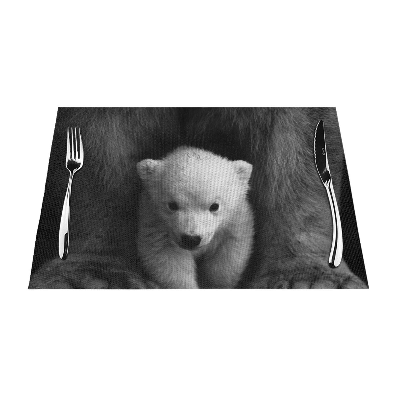 PVC Placemat Set of 4 PCS, 45x30 CM, polar bear Printed Non-Slip Heat Resistant Place Mats for Kitchen Dining Table Indoor Outdoor