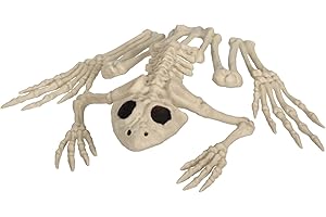 Limited-Time Seasons 8" Skeleton Turtle Halloween Decoration