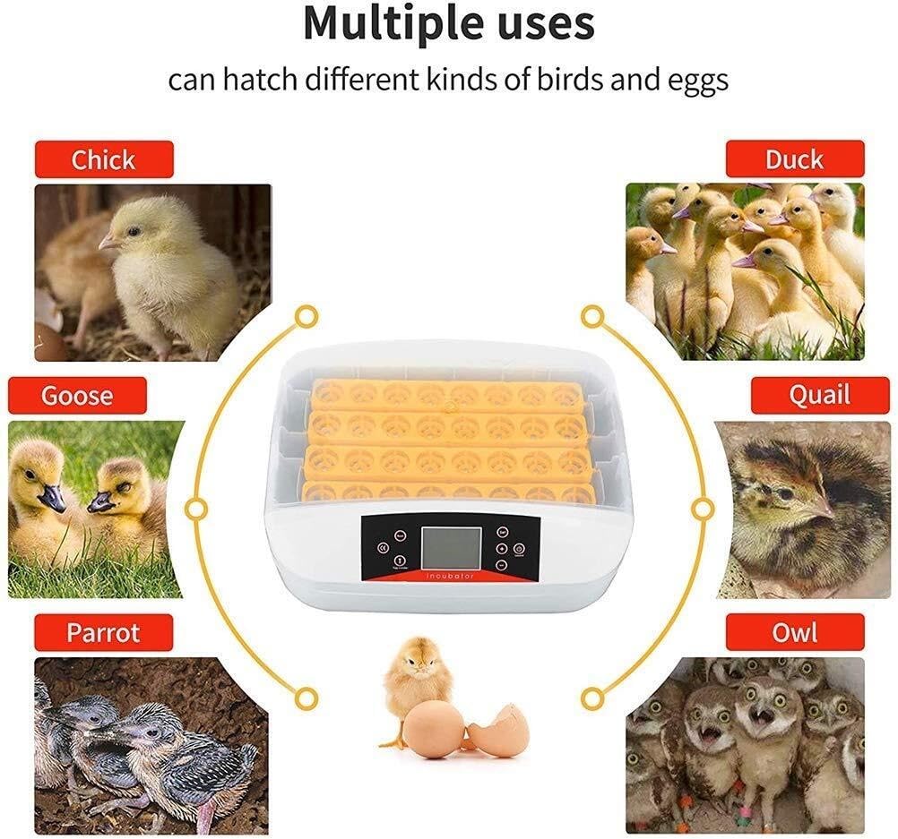 32 Egg Incubator for Hatching – Automatic Turner, Digital Temperature & Humidity Control, LED Display, Poultry Hatcher Chicken, Duck, Goose, Turkey, and More