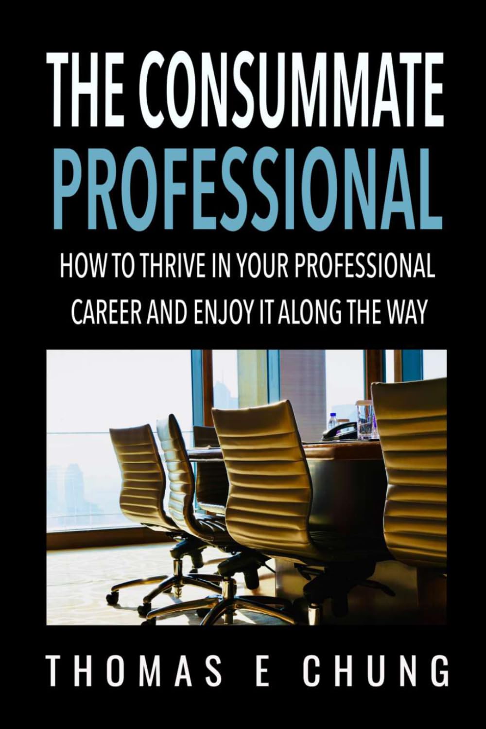 The Consummate Professional: How to Thrive in Your Professional Career and Enjoy It Along the Way