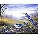 Produktbild LIUJUNH Malen nach Zahlen Tier Vogel Kits Acrylfarben auf Leinwand Gemälde Home Decor Craft GTG04 40x50cm