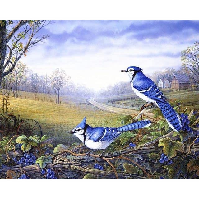 Amazon | 数字による絵画動物鳥キットアクリル絵の具キャンバス絵画家