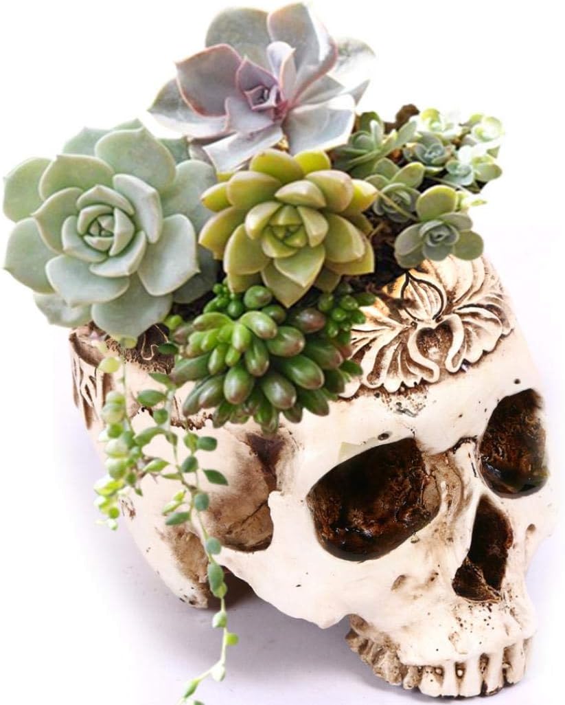 Skull Planter Pot Resin Flower Succulents Pot Planter Skull Head Flowerpot Halloween Skeleton Sculpture Decor for Home Office Decoration (Floral Print)