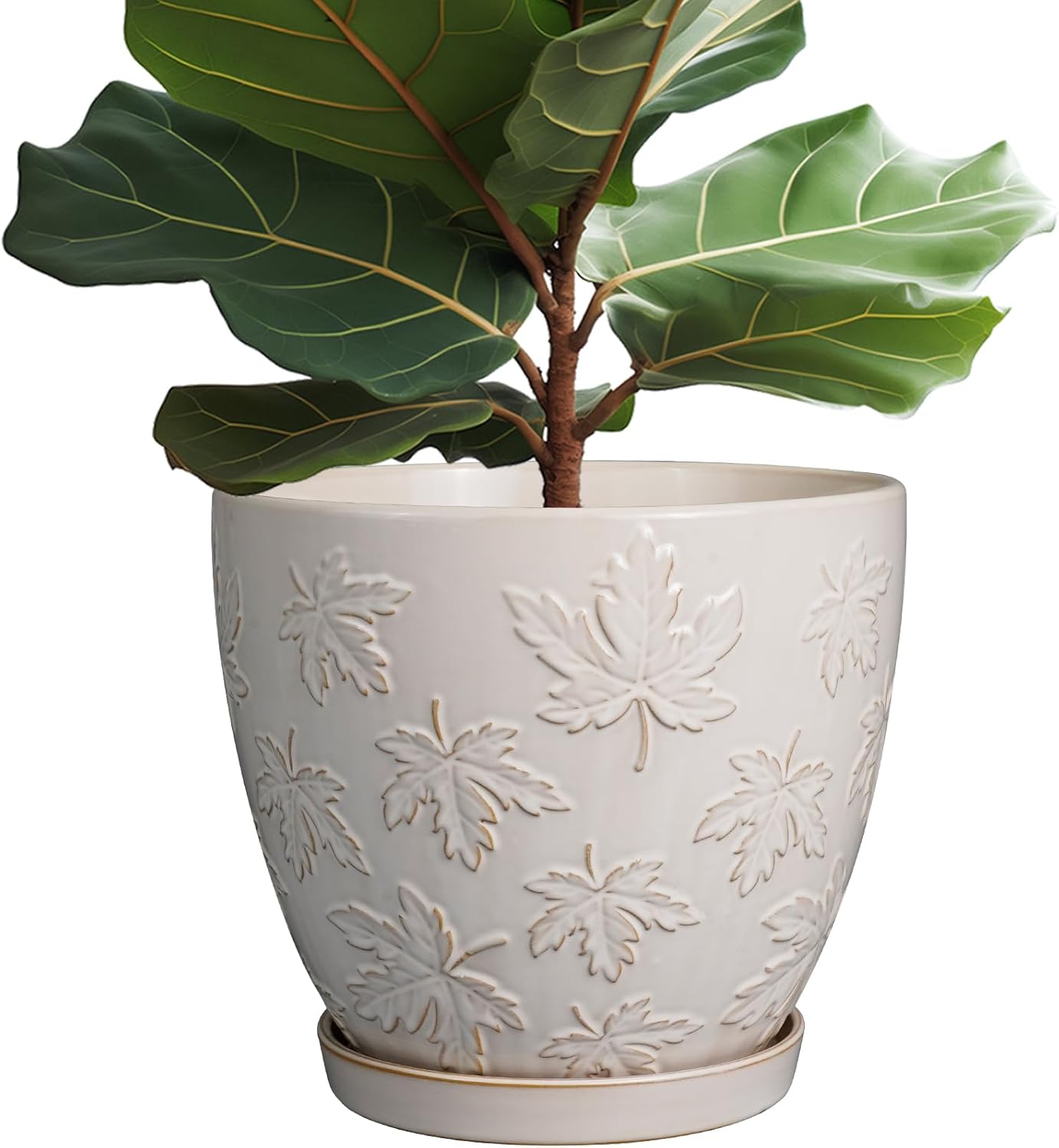 Pots for Plants 10 Inch - Ceramic Planter Large Plant Pot for Indoor Plants Outdoor Round Flower Pot with Drainage Hole and Saucer Home Garden Decor White 10 Inch Maple Leaves White