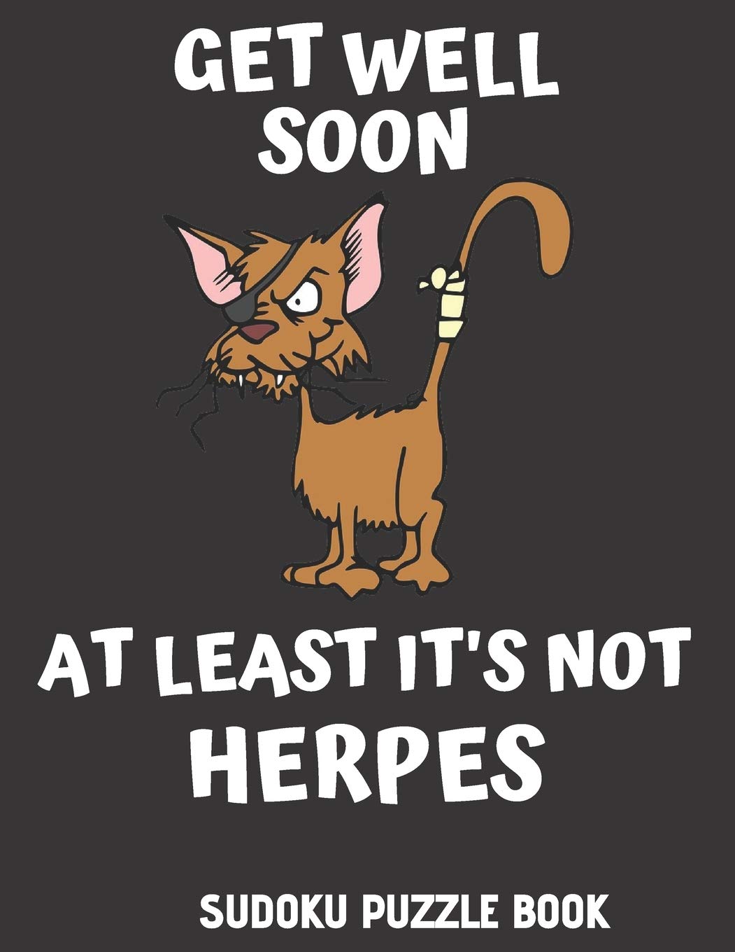 Get Well Soon At Least It's Not Herpes: Get Well Activity & Puzzle Book For Men, Women And Seniors Featuring 100 Easy Sudoku Puzzles Large Print, Perfect Get Well Gifts