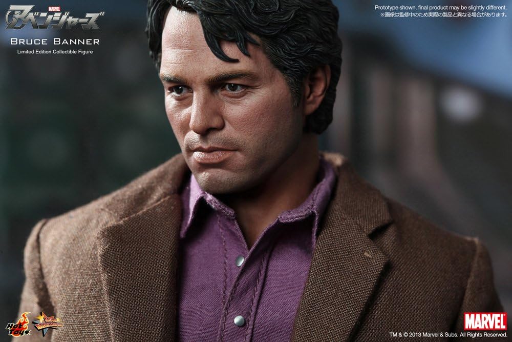Hot Toys Avengers Movie 1/6 Scale Collectible Figure Bruce Banner