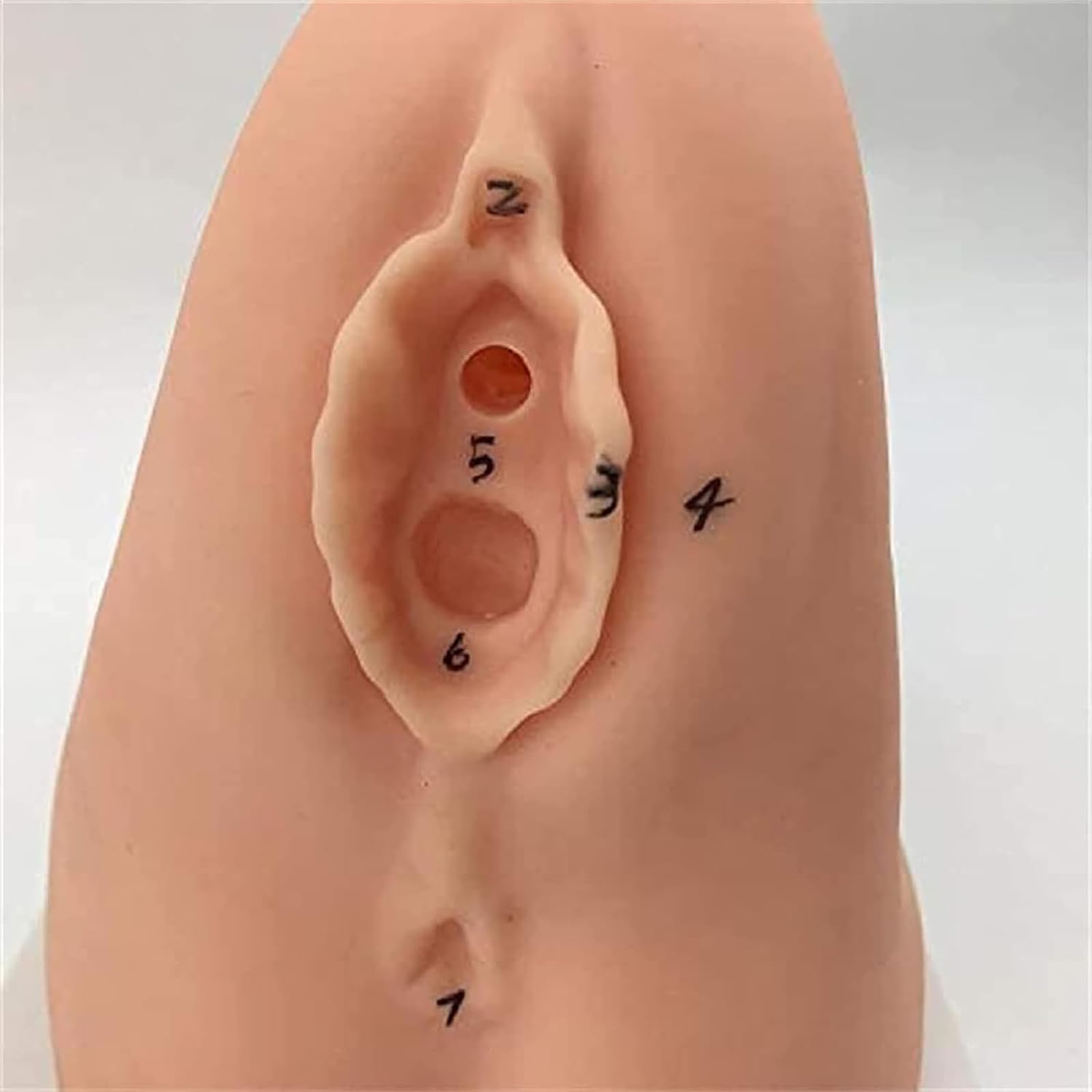 Générique Mannequin de cathétérisme féminin, modèle de cathétérisme interne et externe, modèle de cathétérisme en PVC pour la formation médicale