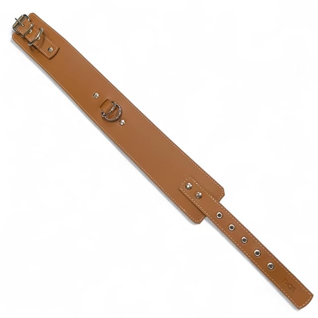 Foto 7 de 8 de Collar para Perros Premium Extra Ancho 5,5 y 7 cm - Cuero Triple Anillo D Soldado - Acolchado Interior