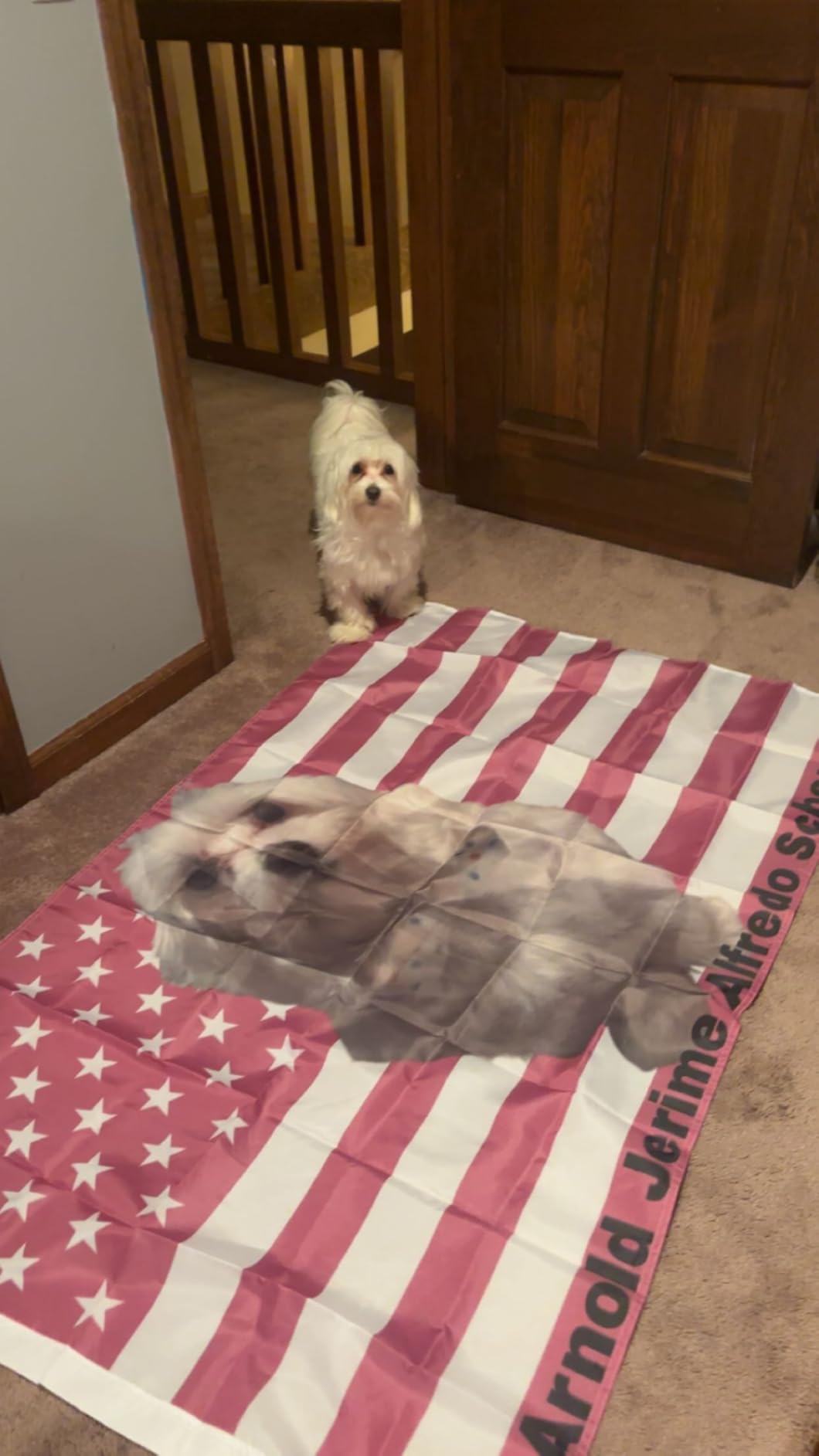 Custom American Tapestry Flag with Picture photo review