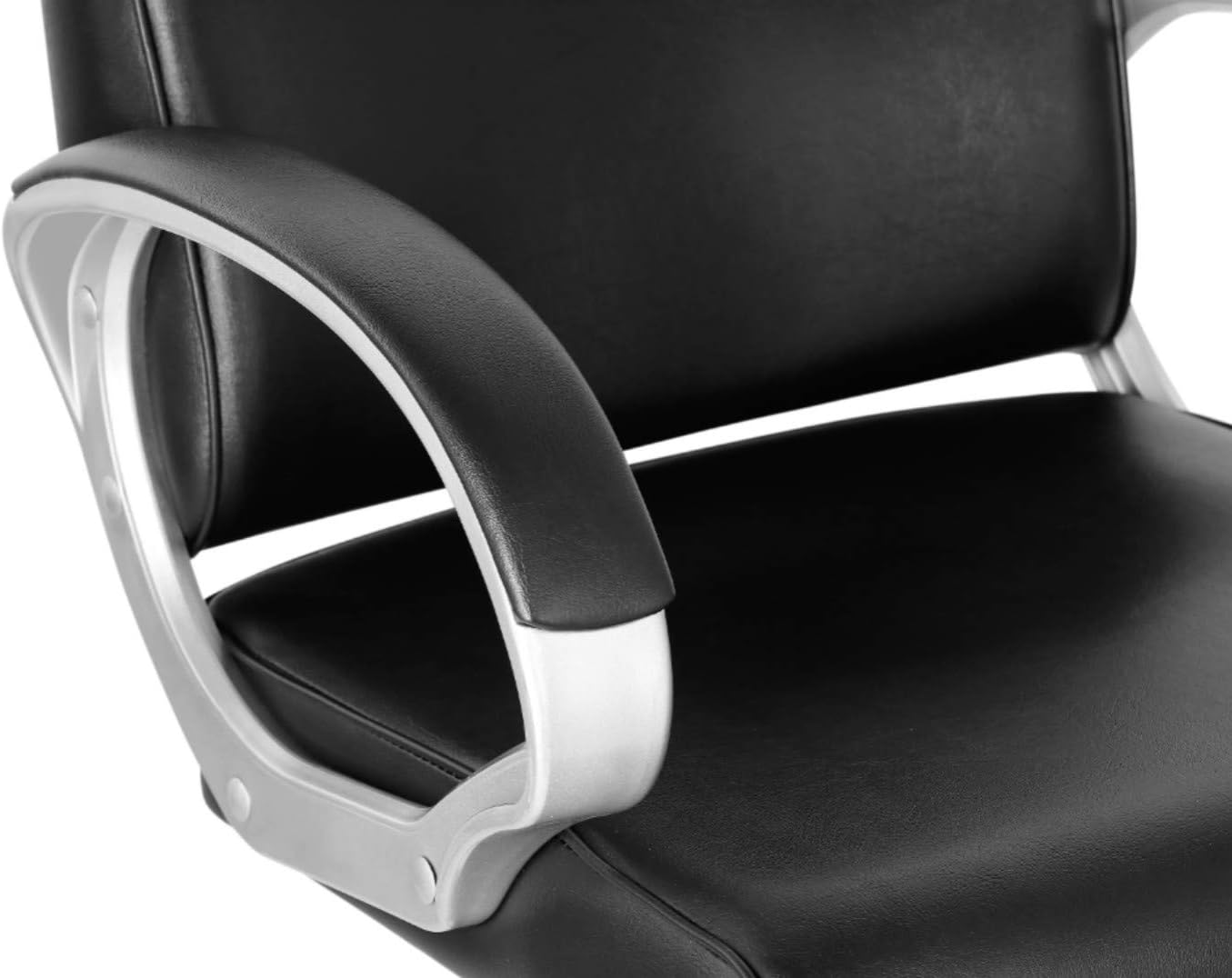 Funnylife Black Heavy Duty Cutting Styling All Purpose Professional Hydraulic Salon Chair for Hair Stylist Tattoo Chair : Beauty & Personal Care