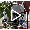 Image of TP PLUS 3MP Outdoor Smart WiFi Wireless IP CCTV Security Camera | Colored Light Vision | 2-Way Audio | Motion Track | Cruise Mode | Support 128 GB Micro SD Card Slot (Black Dome)