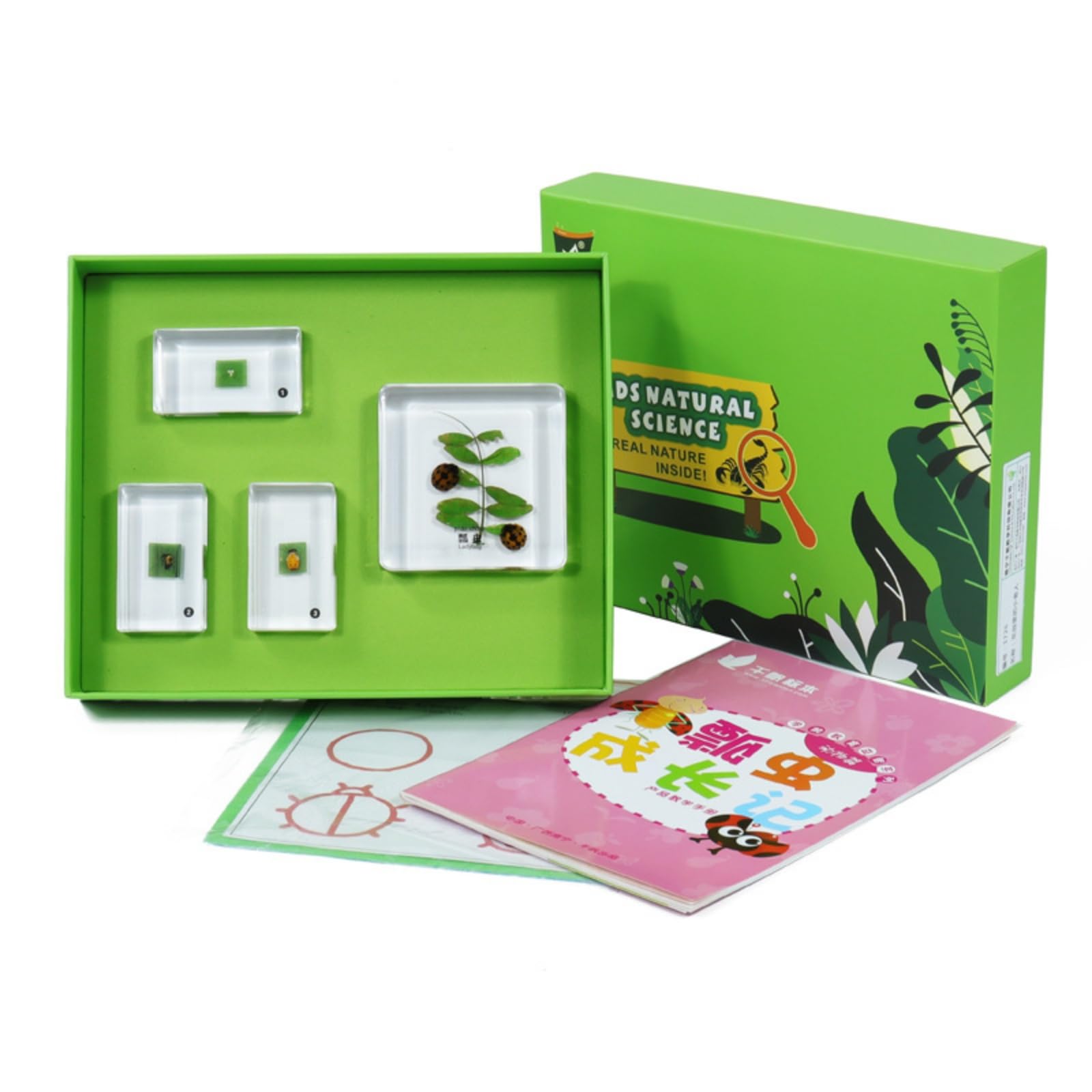 Especimen Educativo Infantil Kit de Exploración Biológica con Bloques de Resina y Bandeja Incluye Guías de Aprendizaje y Tarjetas Caja con Bandeja, Style to 3