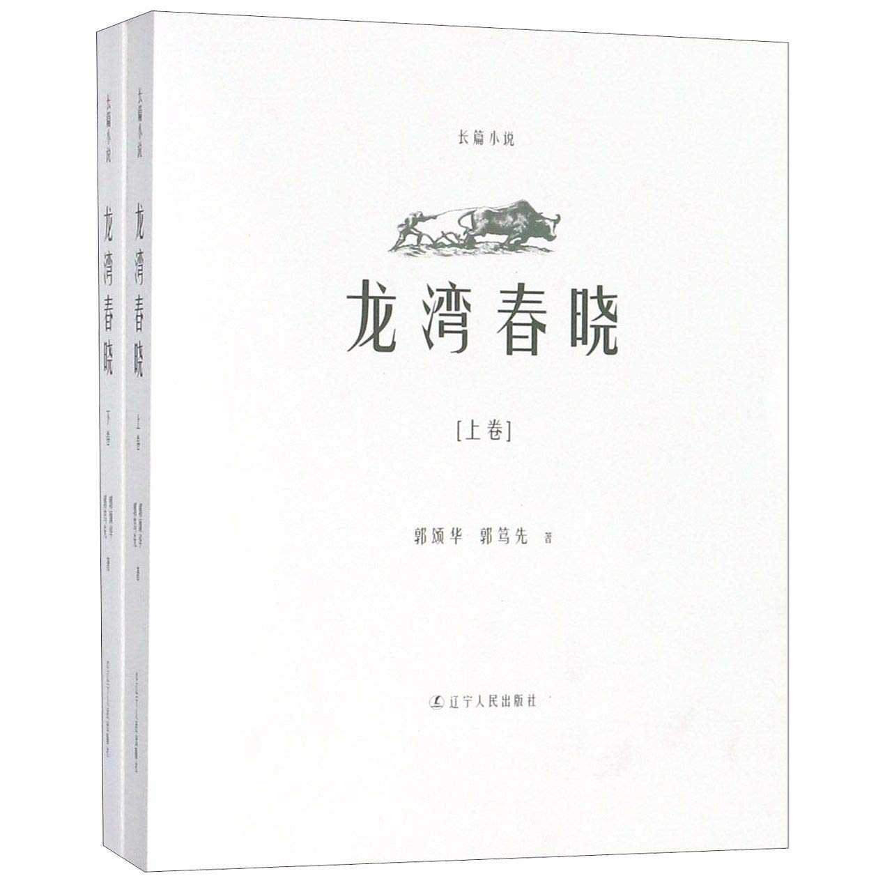 The Spring of Longwan Village (2 Volumes) (Chinese Edition)