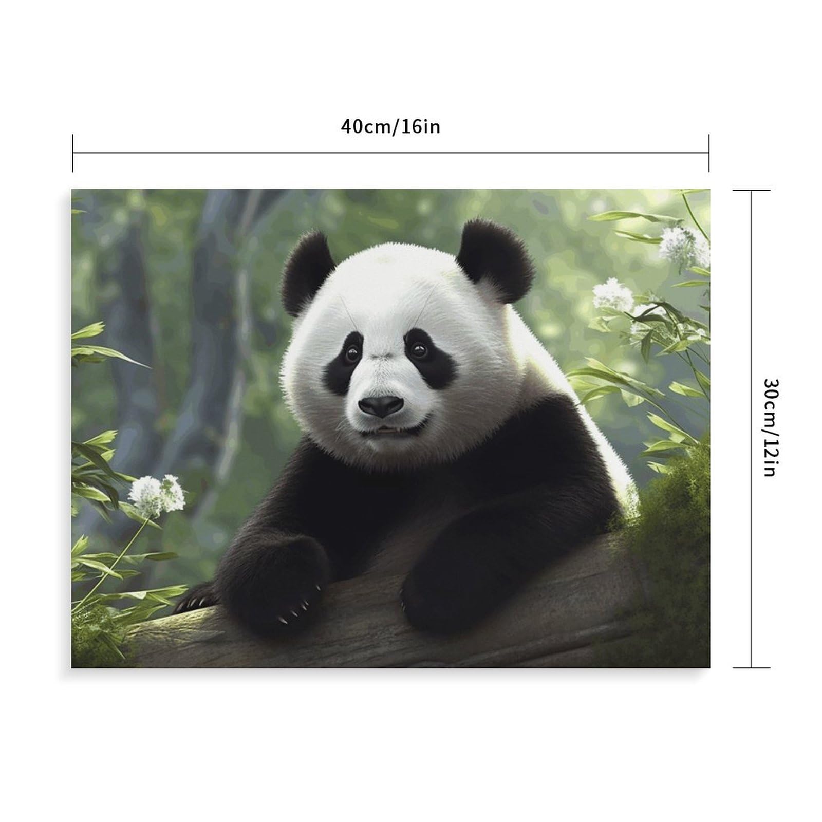 Kit de peinture numérique, joli panda imprimé adulte, kit de peinture par numéros pour débutants, kit de peinture à faire soi-même