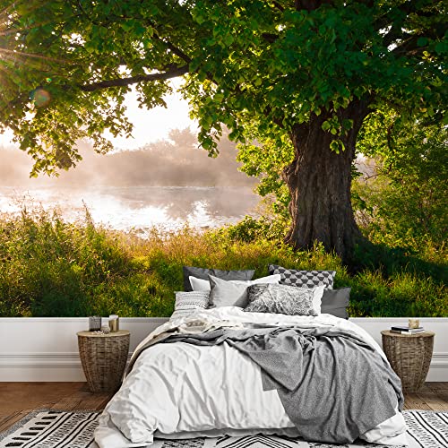 Wall26 - Oak Tree In Full Leaf In Summer Standing Alone - Removable Wall Mural | Self-Adhesive Large Wallpaper - 66X96 Inches #TOP9