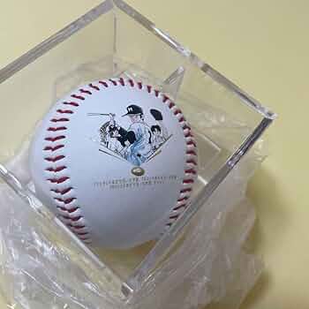 甲子園球場100周年　ボール（ボールケース入り）　5個セット Amazon.co.jp: 甲子園球場100周年 ボール（ボールケース入り