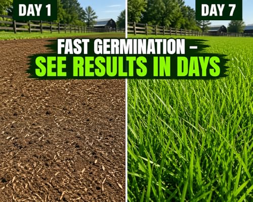 Grass Seed Blends For Erosion Control On Slopes