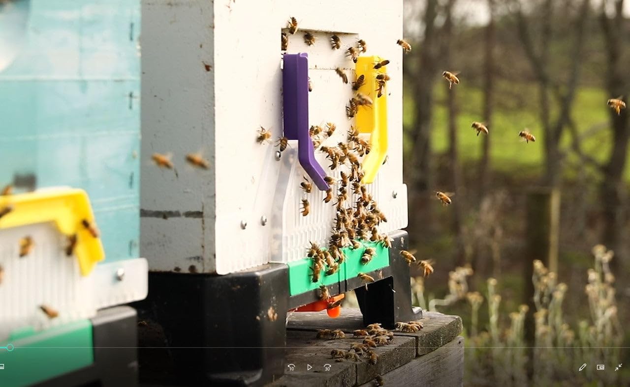 Blythewood Bee Company Ceracell Hive Defender Bottom Board with Blocker - 8-Frame