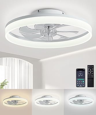 Ceiling Fans with Lights and Remote, 20" Modern Low Profile Ceiling Fan with Light, Stepless Color Temperature Change and 6 Speeds for Bedroom, Kids Room and Living Room (Black)