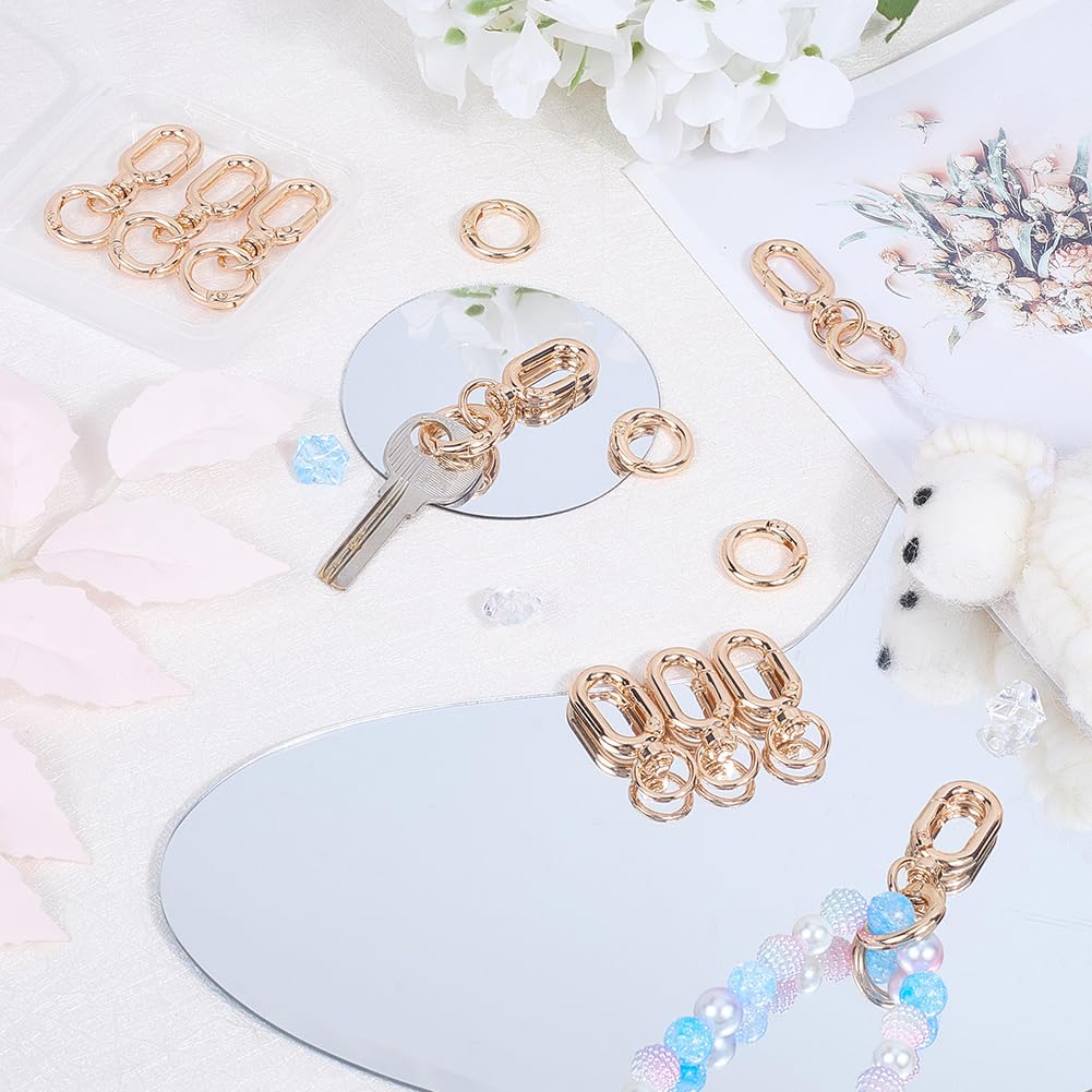 SOFPLATE 1 Box 8 Sets Double Swivel Clip Metal Swivel Snap Hooks Light Gold Trigger Spring Gate Rings Keychain Alloy Oval Opening Keyring Buckle Clasp for DIY Making Keychains Lanyards Purses Crafts - Image 3