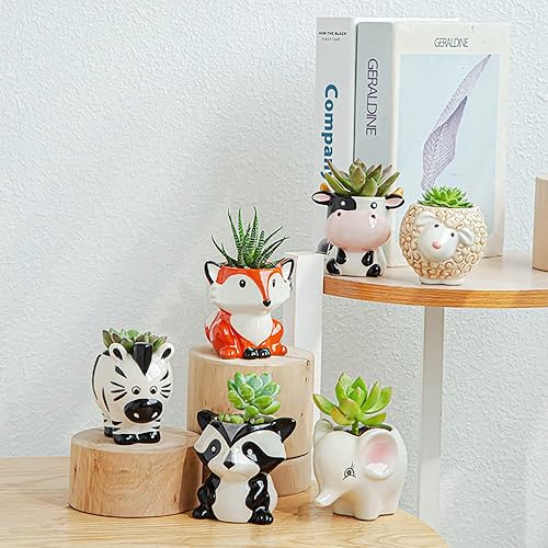 Miniatura 4 de Bonita maceta de cerámica de animales, maceta pequeña para suculentas, maceta con forma de dibujos animados para plantas pequeñas, cactus de flores,