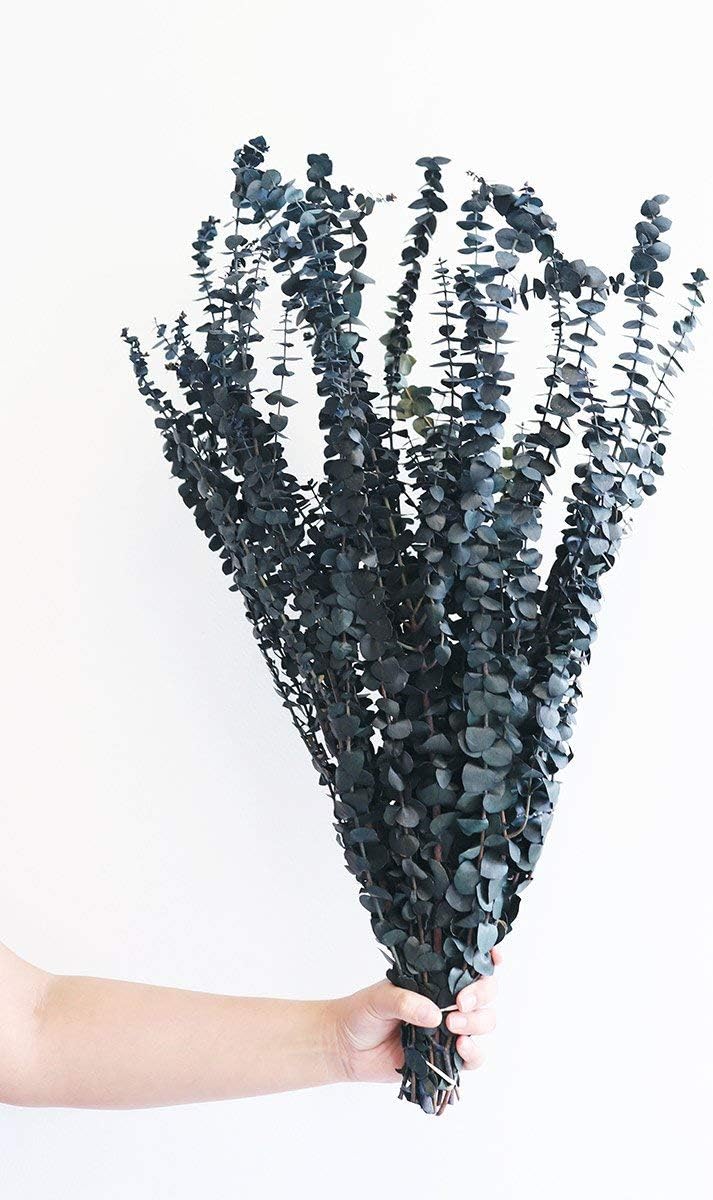 Afloral Preserved Eucalyptus in Blue