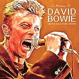  In Memory Of David Bowie [Vinilo]