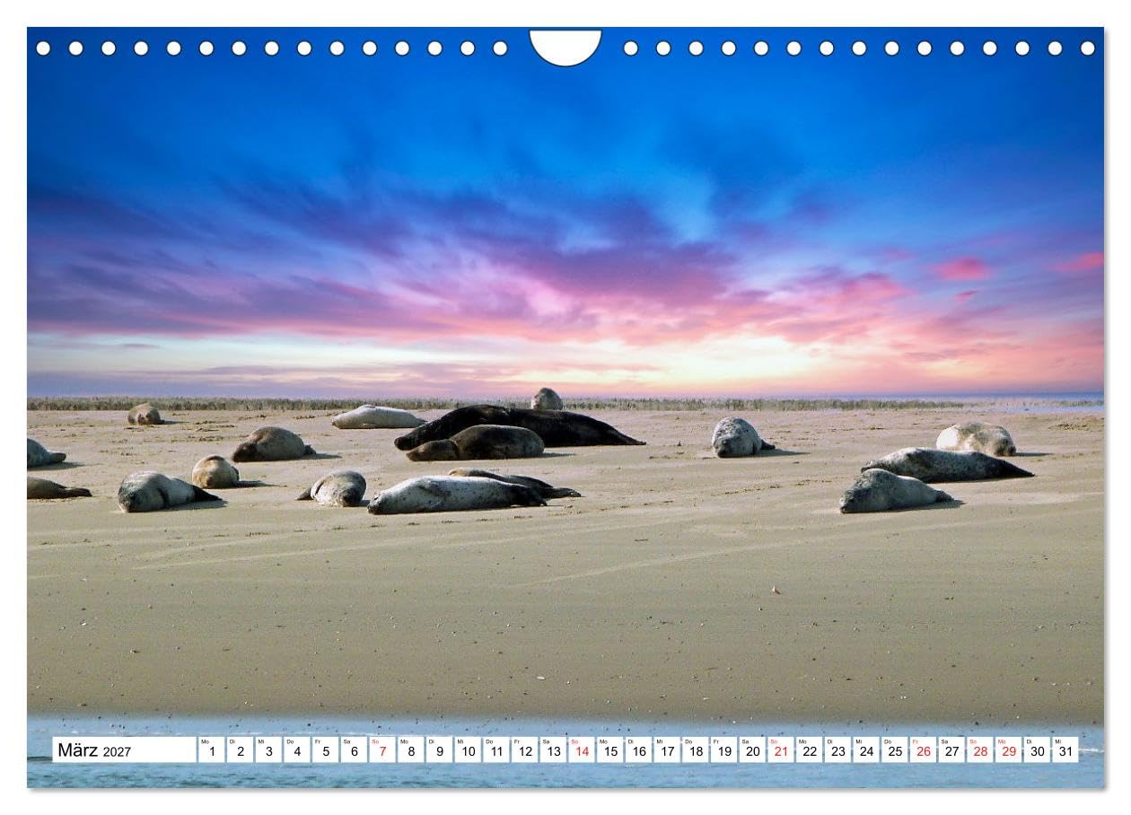 Verliebt in Borkum (Wandkalender 2027 DIN A4 quer), CALVENDO Monatskalender: Die bezaubernde Insel, die größte deutsche Nordseeinsel, die jedem etwas zu bieten hat. (CALVENDO Orte)