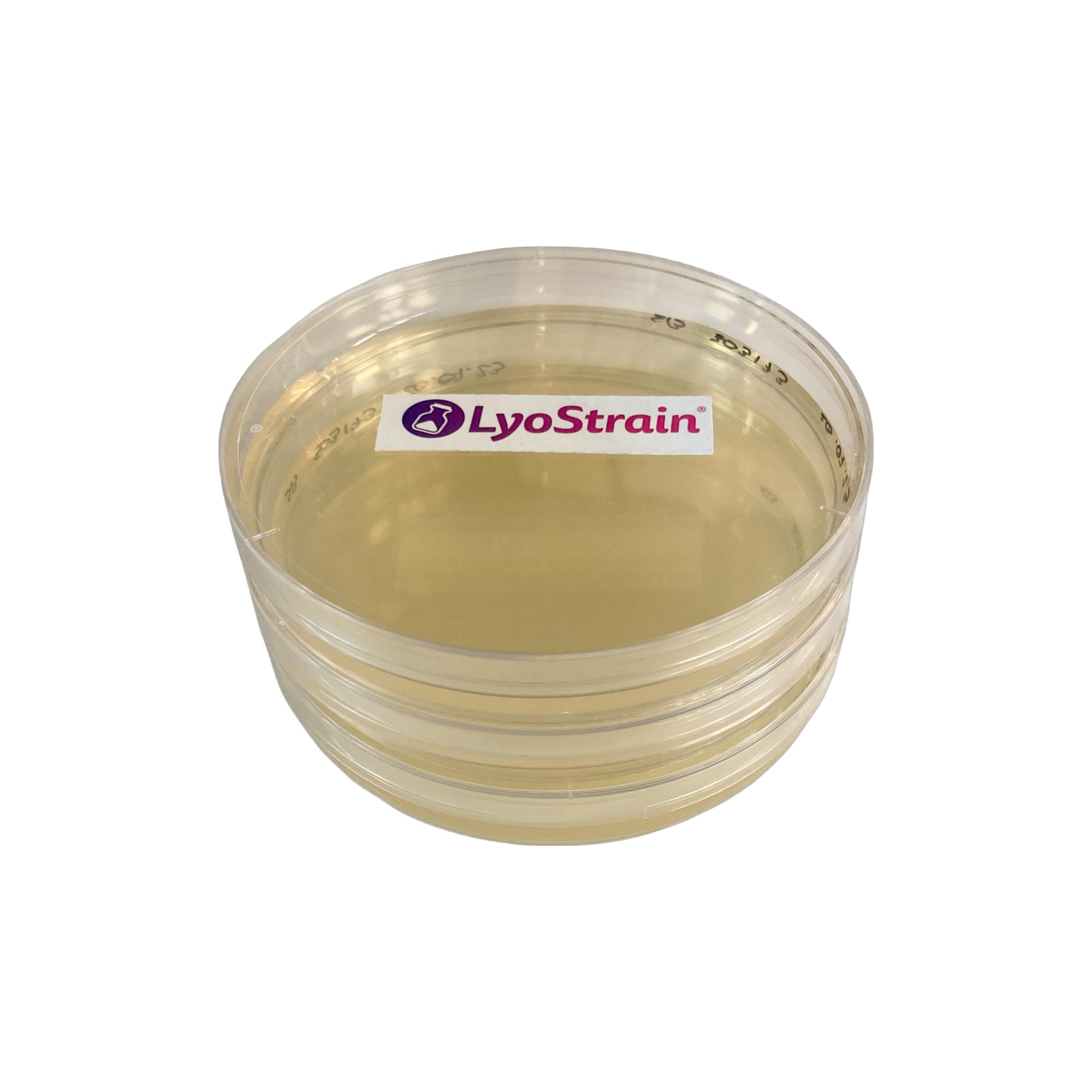 PLACAS AGAR TSA CRECIMIENTO GENERAL BACTERIAS - 20 PLACAS PETRI CON AGAR - MEDIO CULTIVO MICROBIOLOGICO
