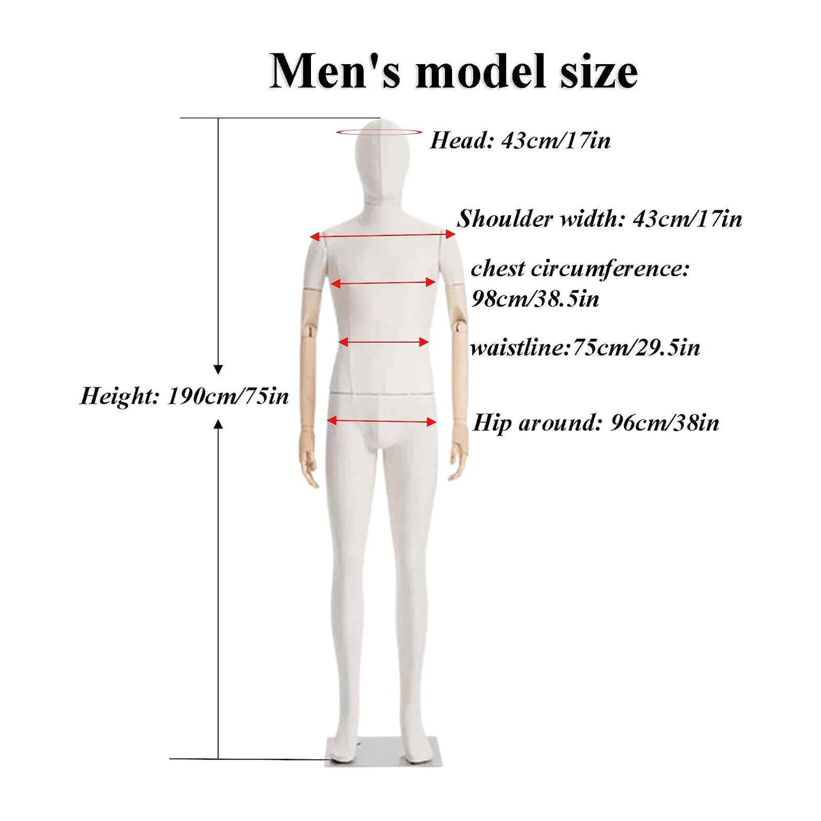Amazon.co.jp: 全身女性男性マネキン 取り外し可能なマネキントルソー